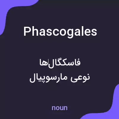 معنی phascogales به فارسی معنی phascogales به فارسی