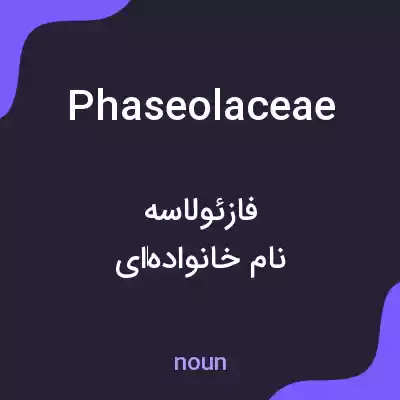 معنی phaseolaceae به فارسی معنی phaseolaceae به فارسی