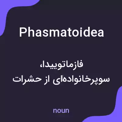 معنی phasmatoidea به فارسی معنی phasmatoidea به فارسی