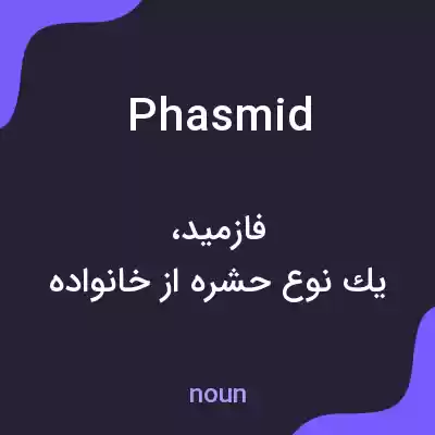 معنی phasmid به فارسی معنی phasmid به فارسی