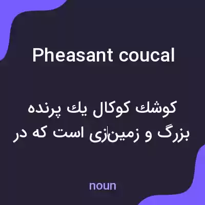 معنی pheasant coucal به فارسی معنی pheasant coucal به فارسی