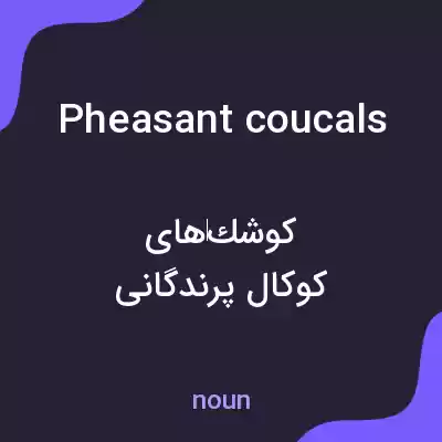 معنی pheasant coucals به فارسی معنی pheasant coucals به فارسی