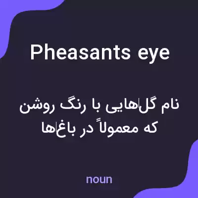 معنی pheasants eye به فارسی معنی pheasants eye به فارسی
