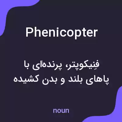 معنی phenicopter به فارسی معنی phenicopter به فارسی