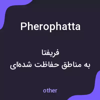 معنی pherophatta به فارسی معنی pherophatta به فارسی