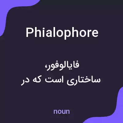 معنی phialophore به فارسی معنی phialophore به فارسی