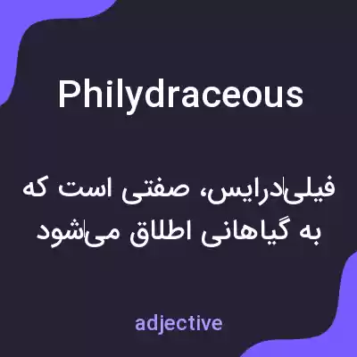 معنی philydraceous به فارسی معنی philydraceous به فارسی