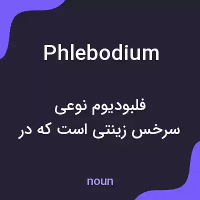 معنی phlebodium به فارسی معنی phlebodium به فارسی