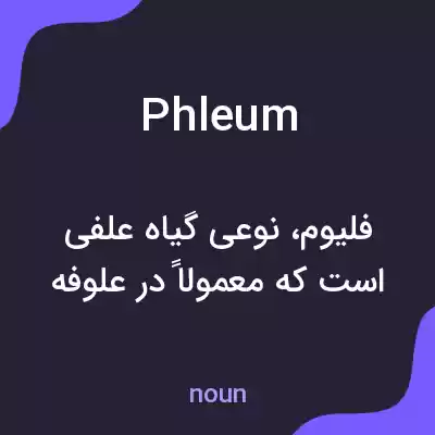معنی phleum به فارسی معنی phleum به فارسی