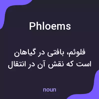 معنی phloems به فارسی معنی phloems به فارسی