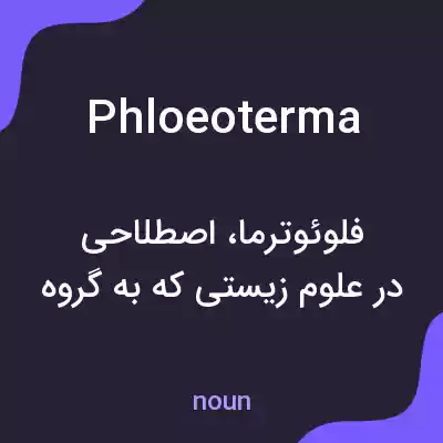 معنی phloeoterma به فارسی معنی phloeoterma به فارسی