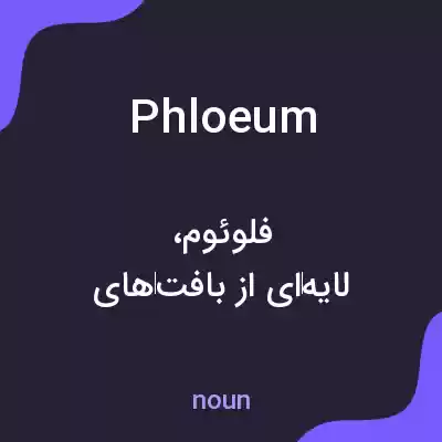 معنی phloeum به فارسی معنی phloeum به فارسی