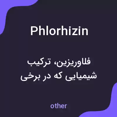 معنی phlorhizin به فارسی معنی phlorhizin به فارسی