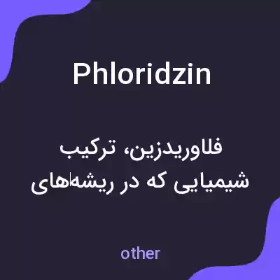 معنی phloridzin به فارسی معنی phloridzin به فارسی