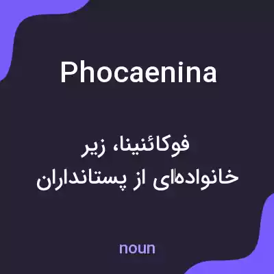 معنی phocaenina به فارسی معنی phocaenina به فارسی
