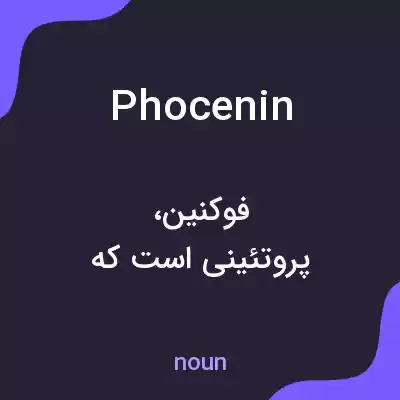 معنی phocenin به فارسی معنی phocenin به فارسی