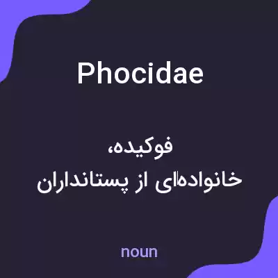 معنی phocidae به فارسی معنی phocidae به فارسی