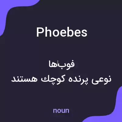 معنی phoebes به فارسی معنی phoebes به فارسی