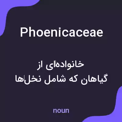 معنی phoenicaceae به فارسی معنی phoenicaceae به فارسی