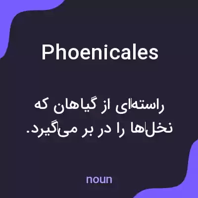 معنی phoenicales به فارسی معنی phoenicales به فارسی