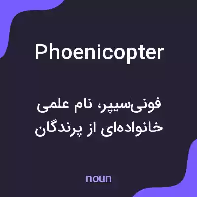 معنی phoenicopter به فارسی معنی phoenicopter به فارسی