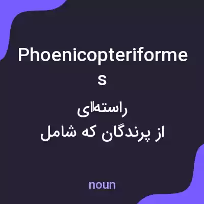 معنی phoenicopteriformes به فارسی معنی phoenicopteriformes به فارسی