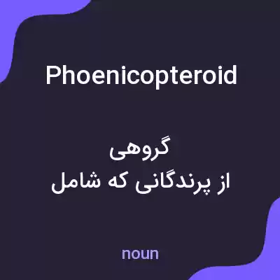 معنی phoenicopteroid به فارسی معنی phoenicopteroid به فارسی