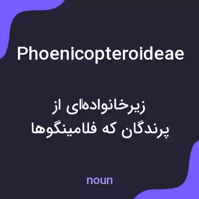 معنی phoenicopteroideae به فارسی معنی phoenicopteroideae به فارسی