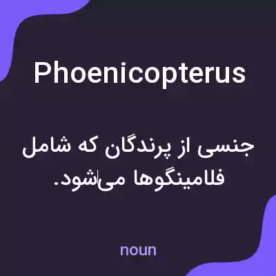 معنی phoenicopterus به فارسی معنی phoenicopterus به فارسی