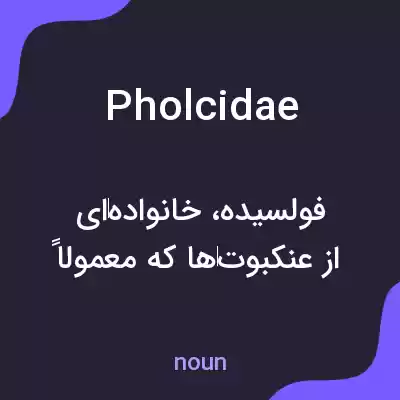 معنی pholcidae به فارسی معنی pholcidae به فارسی