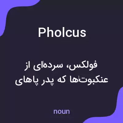 معنی pholcus به فارسی معنی pholcus به فارسی