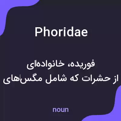 معنی phoridae به فارسی معنی phoridae به فارسی