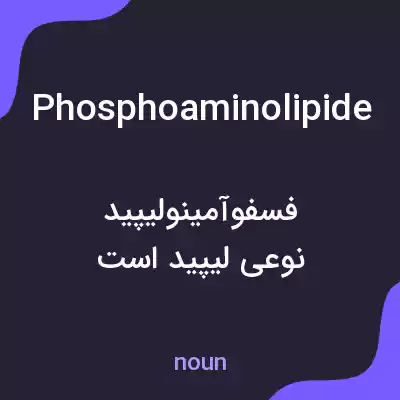 معنی phosphoaminolipide به فارسی معنی phosphoaminolipide به فارسی