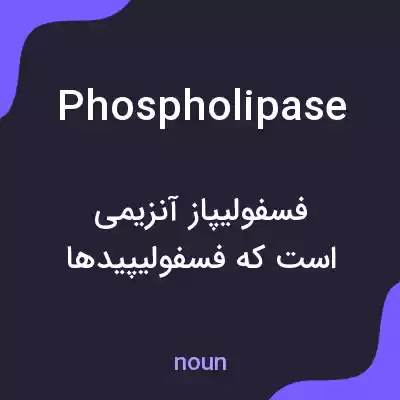 معنی phospholipase به فارسی معنی phospholipase به فارسی