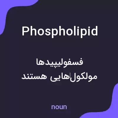 معنی phospholipid به فارسی معنی phospholipid به فارسی