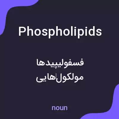 معنی phospholipids به فارسی معنی phospholipids به فارسی