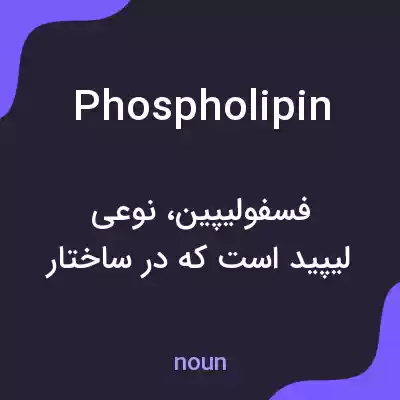 معنی phospholipin به فارسی معنی phospholipin به فارسی