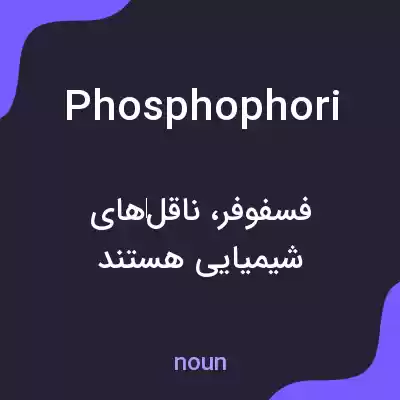 معنی phosphophori به فارسی معنی phosphophori به فارسی