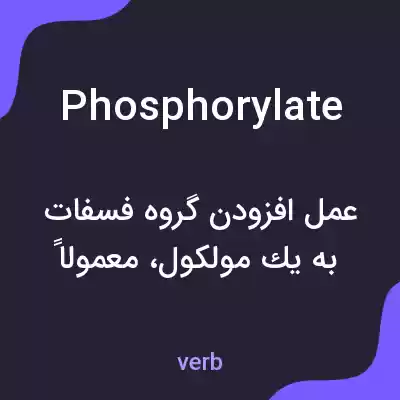 معنی phosphorylate به فارسی معنی phosphorylate به فارسی