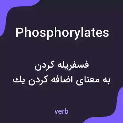 معنی phosphorylates به فارسی معنی phosphorylates به فارسی