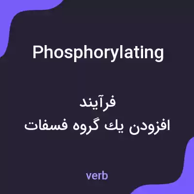 معنی phosphorylating به فارسی معنی phosphorylating به فارسی