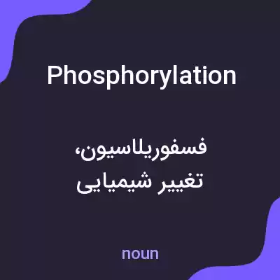 معنی phosphorylation به فارسی معنی phosphorylation به فارسی
