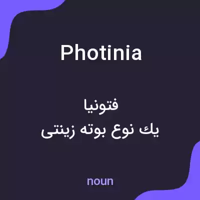 معنی photinia به فارسی معنی photinia به فارسی