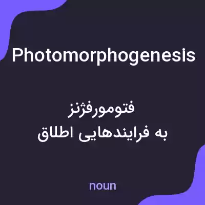 معنی photomorphogenesis به فارسی معنی photomorphogenesis به فارسی