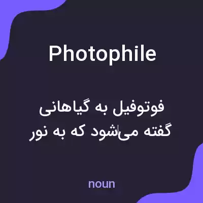 معنی photophile به فارسی معنی photophile به فارسی