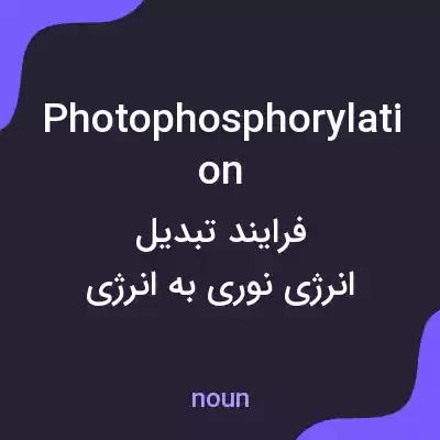 معنی photophosphorylation به فارسی معنی photophosphorylation به فارسی