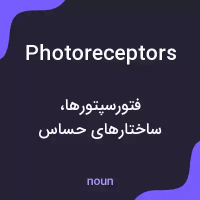 معنی photoreceptors به فارسی معنی photoreceptors به فارسی