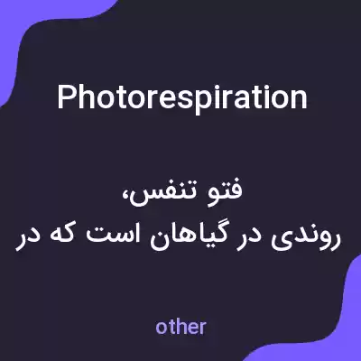 معنی photorespiration به فارسی معنی photorespiration به فارسی