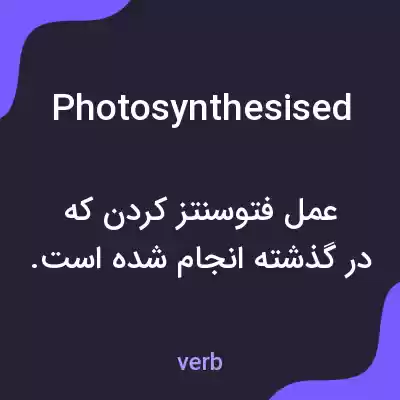 معنی photosynthesised به فارسی معنی photosynthesised به فارسی