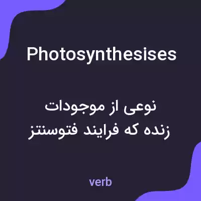 معنی photosynthesises به فارسی معنی photosynthesises به فارسی